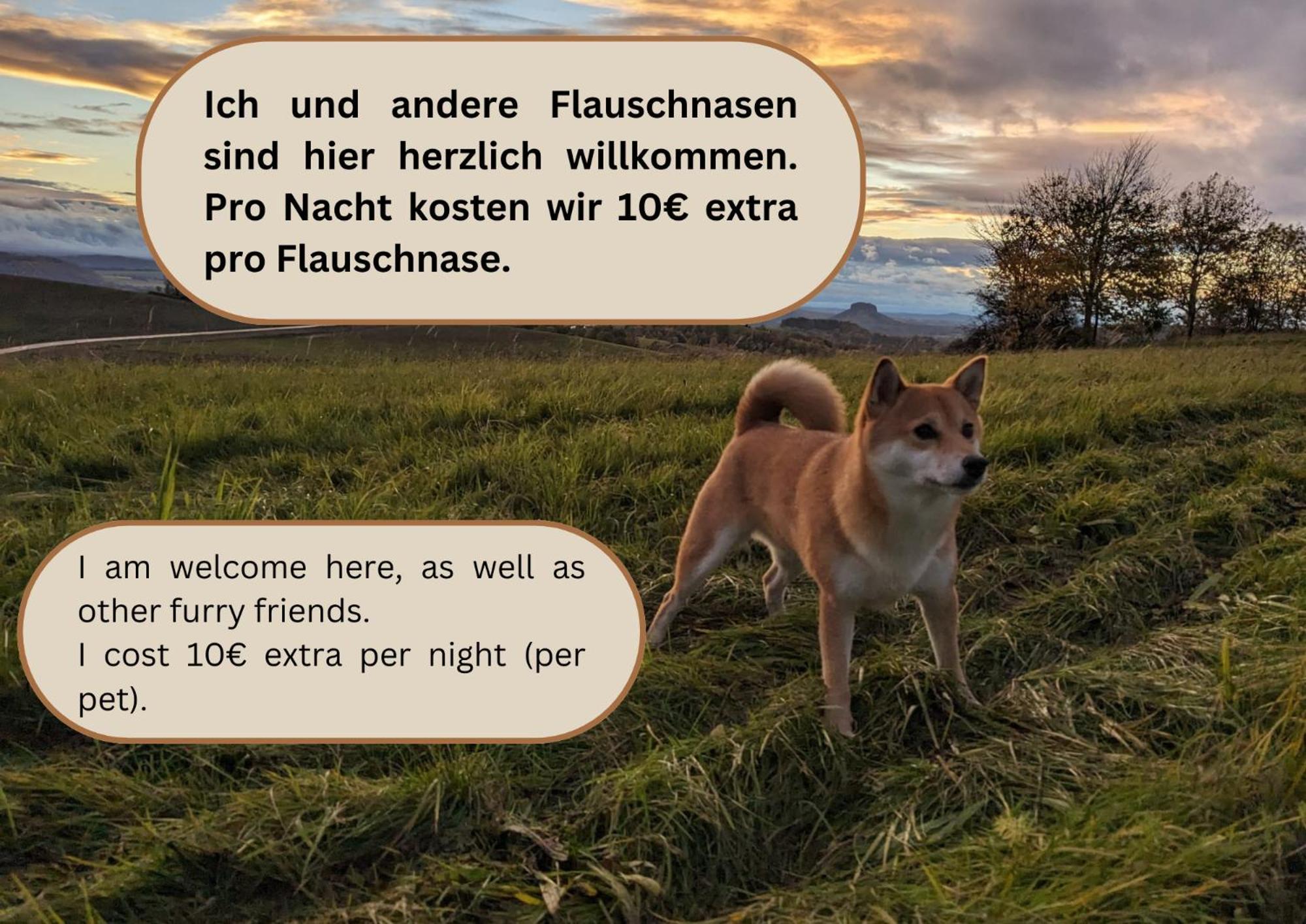 S3 - Urlaubsmagie - Fuer 4P Mitten Im Elbsandsteingebirge Зебниц Экстерьер фото
